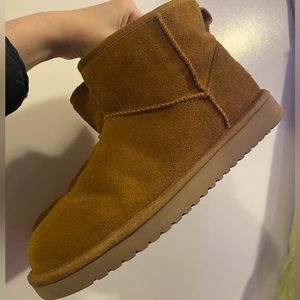 UGG KOOLA MINI II CHESTNUT BOOTS BOOTIES SHORT